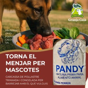 Pandy menjar per mascotes